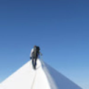 Meet your Posher, Will